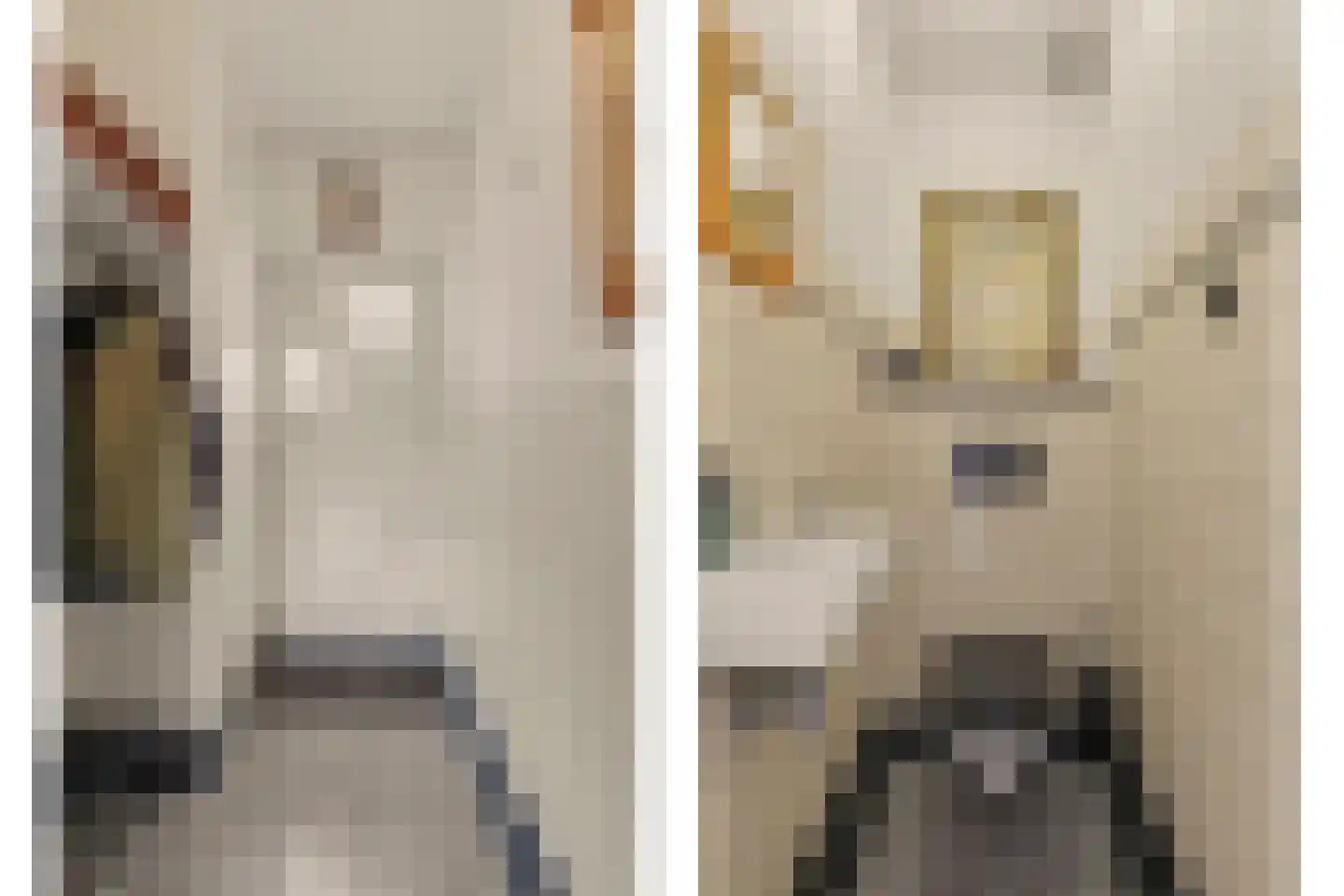 Liesveld 43 Terheijden thumbnail 8