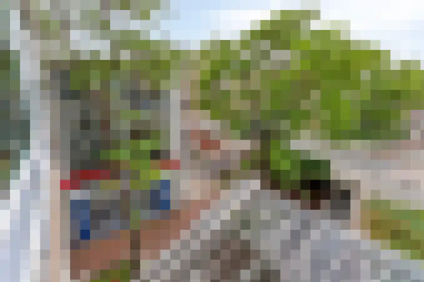 Liesveld 50 Vlaardingen thumbnail 29