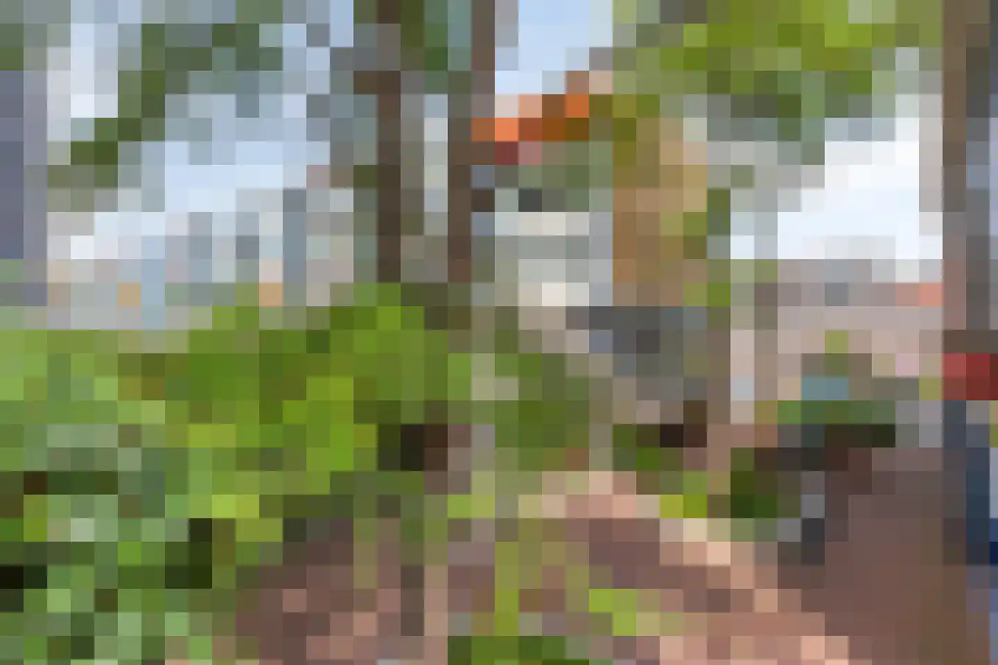 Liesveld 50 Vlaardingen thumbnail 8