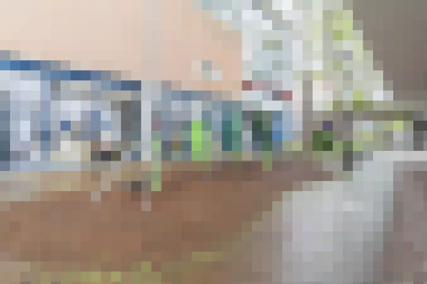Liesveld 78 Vlaardingen thumbnail 29