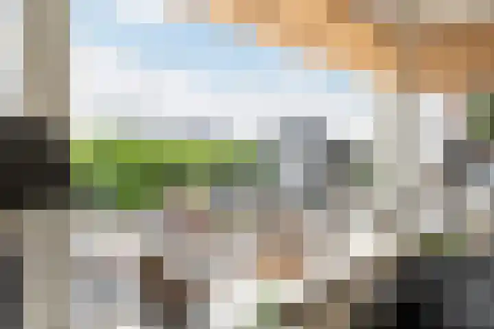 Liesveld 94 Vlaardingen thumbnail 5