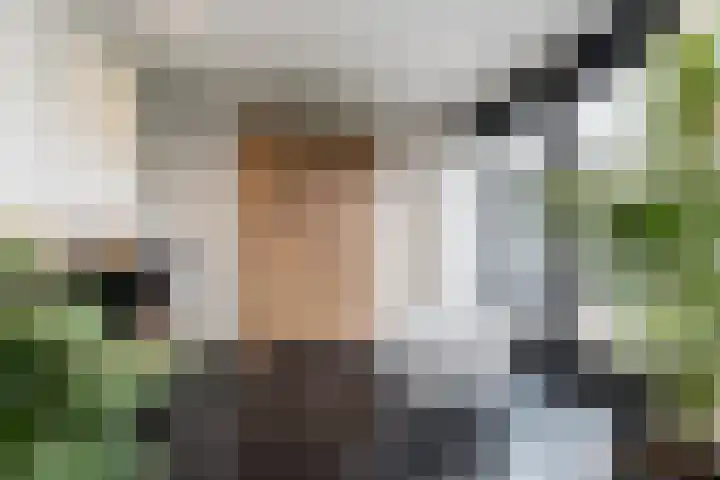 Liesveldsesteeg 13 Brakel thumbnail 13