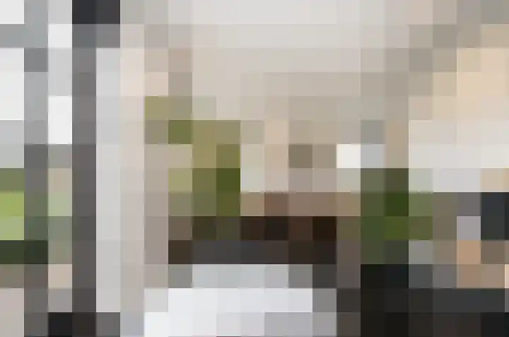 Liesveldsesteeg 13 Brakel thumbnail 14
