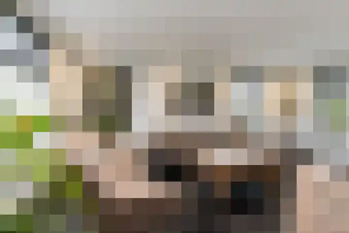 Liesveldsesteeg 13 Brakel thumbnail 15