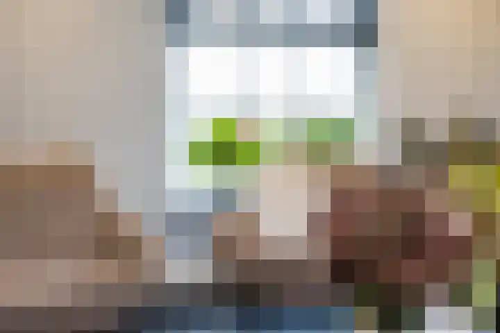 Liesveldsesteeg 13 Brakel thumbnail 17