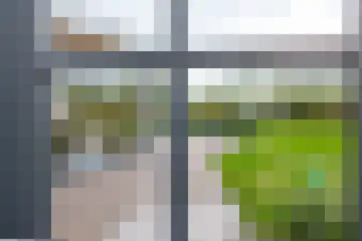 Liesveldsesteeg 13 Brakel thumbnail 18
