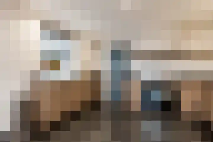 Liesveldsesteeg 13 Brakel thumbnail 22