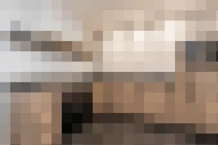 Liesveldsesteeg 13 Brakel thumbnail 23