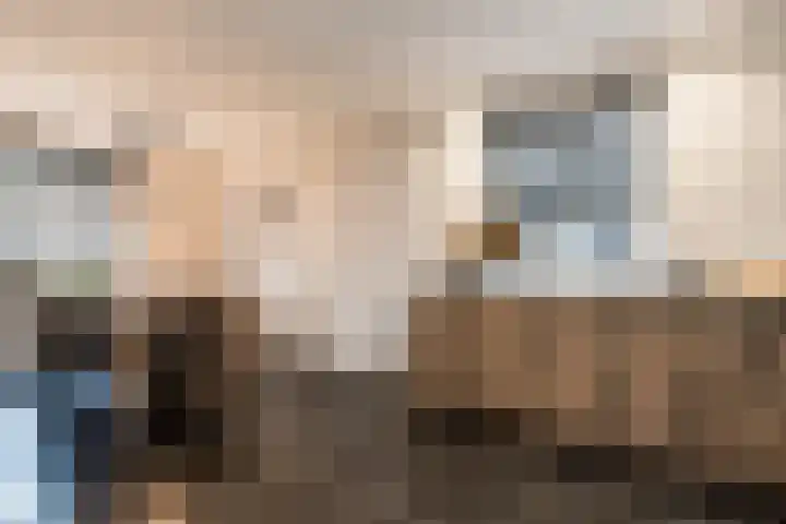 Liesveldsesteeg 13 Brakel thumbnail 25