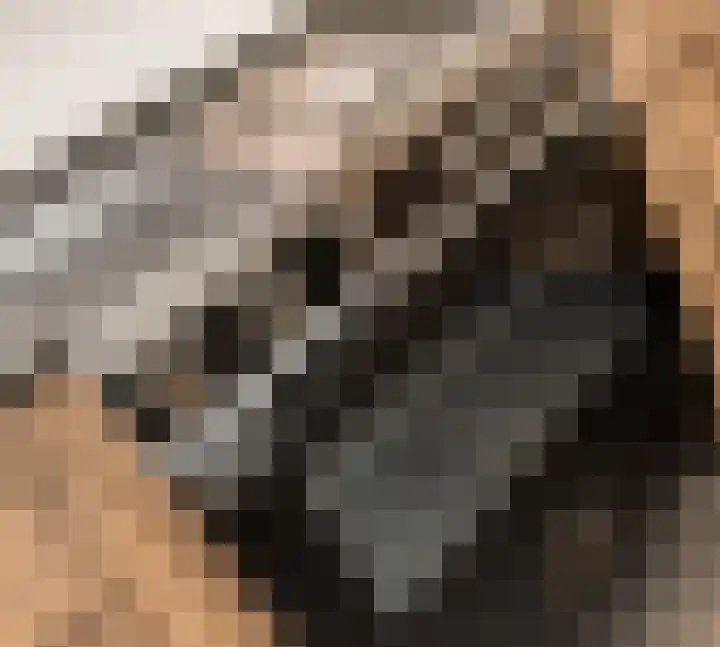 Liesveldsesteeg 13 Brakel thumbnail 27