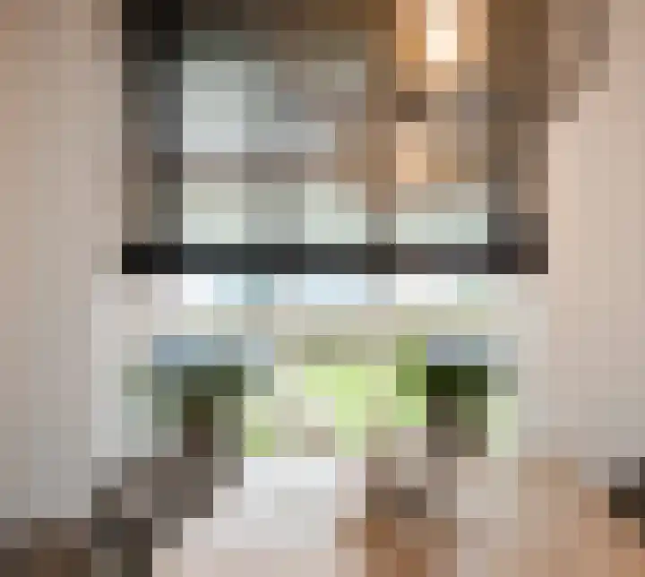 Liesveldsesteeg 13 Brakel thumbnail 28