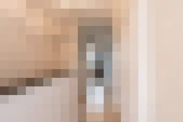 Liesveldsesteeg 13 Brakel thumbnail 31