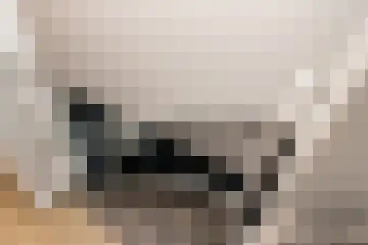 Liesveldsesteeg 13 Brakel thumbnail 33