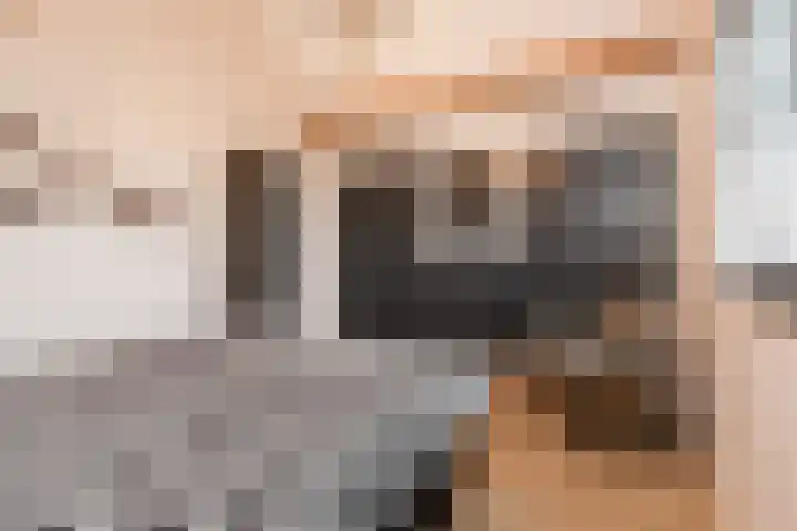 Liesveldsesteeg 13 Brakel thumbnail 36