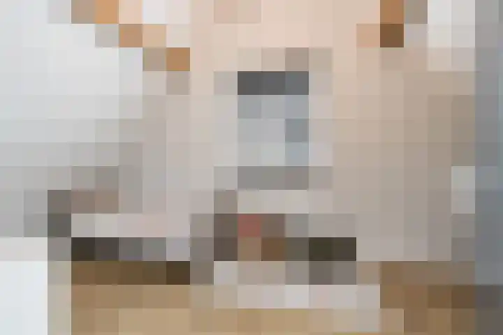 Liesveldsesteeg 13 Brakel thumbnail 37