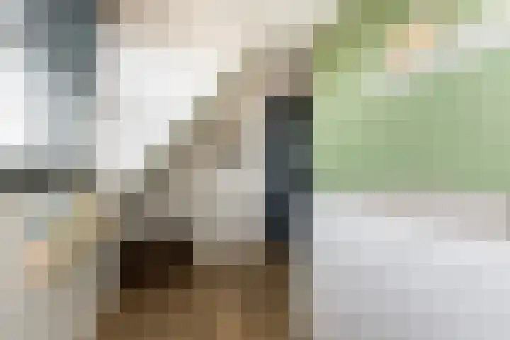 Liesveldsesteeg 13 Brakel thumbnail 40