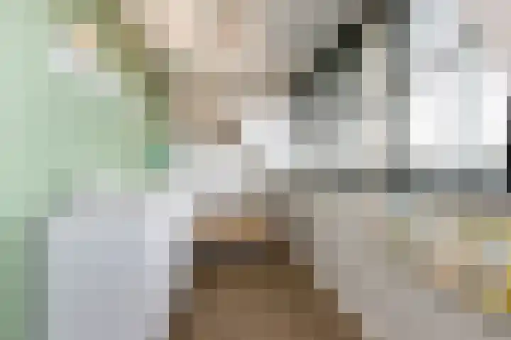 Liesveldsesteeg 13 Brakel thumbnail 41