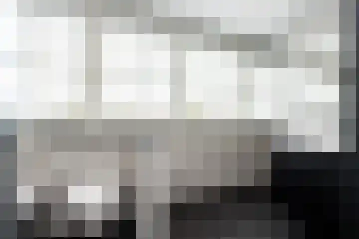 Liesveldsesteeg 13 Brakel thumbnail 42
