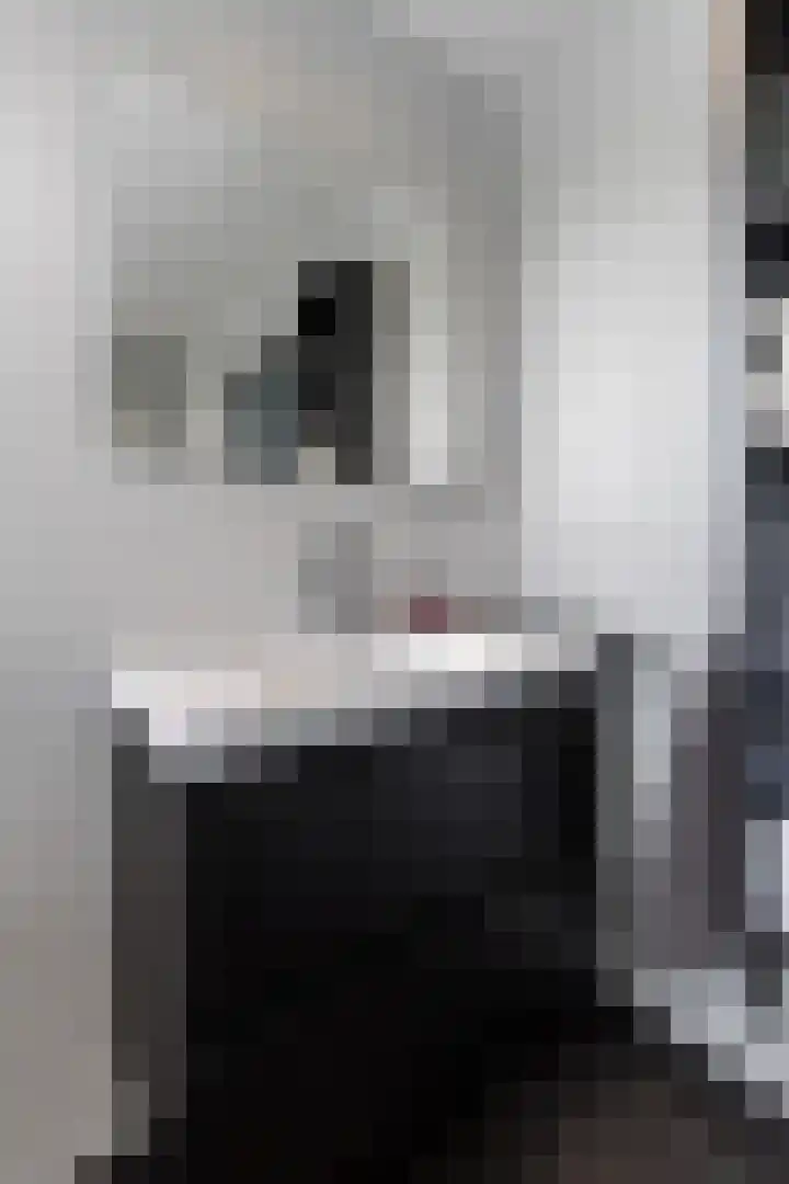Liesveldsesteeg 13 Brakel thumbnail 46