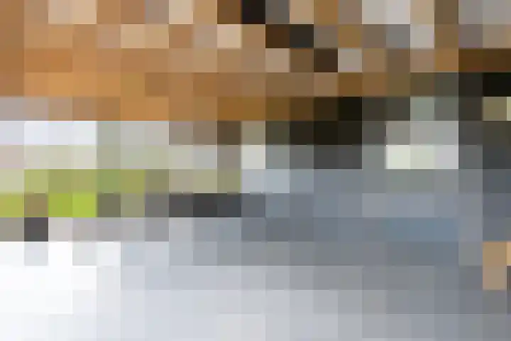 Liesveldsesteeg 13 Brakel thumbnail 48