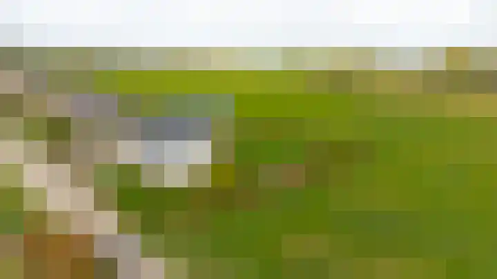 Liesveldsesteeg 13 Brakel thumbnail 5