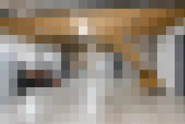 Liesveldsesteeg 13 Brakel thumbnail 51