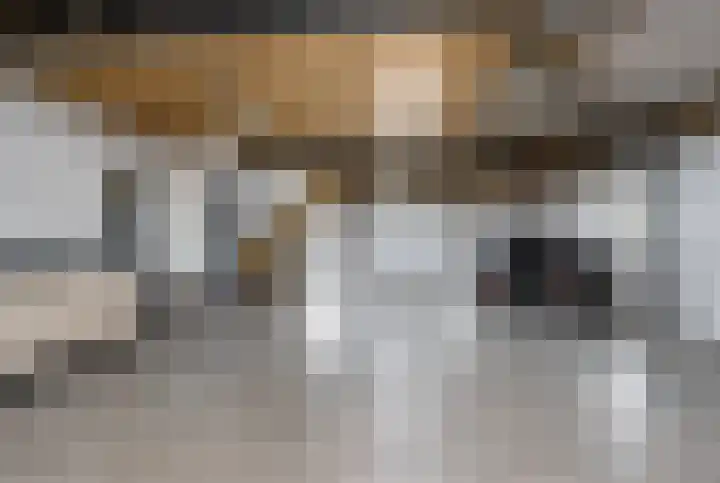 Liesveldsesteeg 13 Brakel thumbnail 53