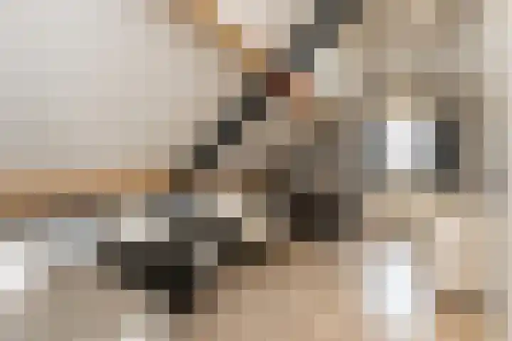 Liesveldsesteeg 13 Brakel thumbnail 59