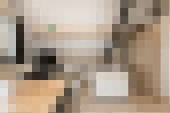 Liesveldsesteeg 13 Brakel thumbnail 60