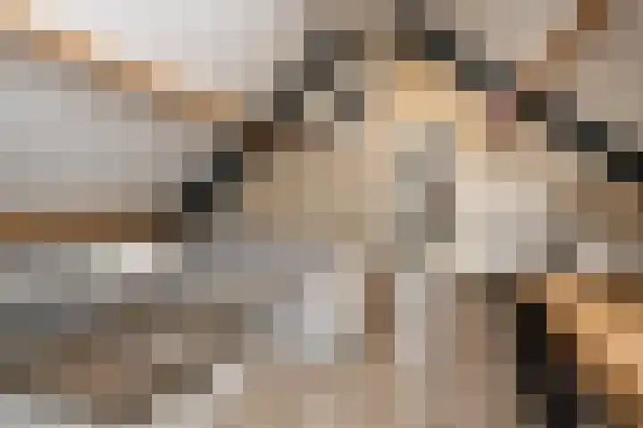 Liesveldsesteeg 13 Brakel thumbnail 61