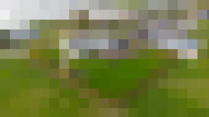Liesveldsesteeg 13 Brakel thumbnail 63