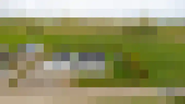 Liesveldsesteeg 13 Brakel thumbnail 64