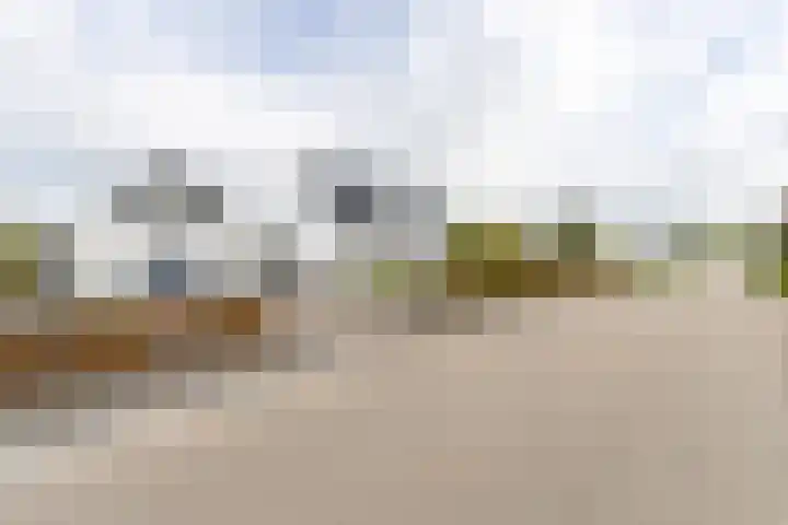 Liesveldsesteeg 13 Brakel thumbnail 66