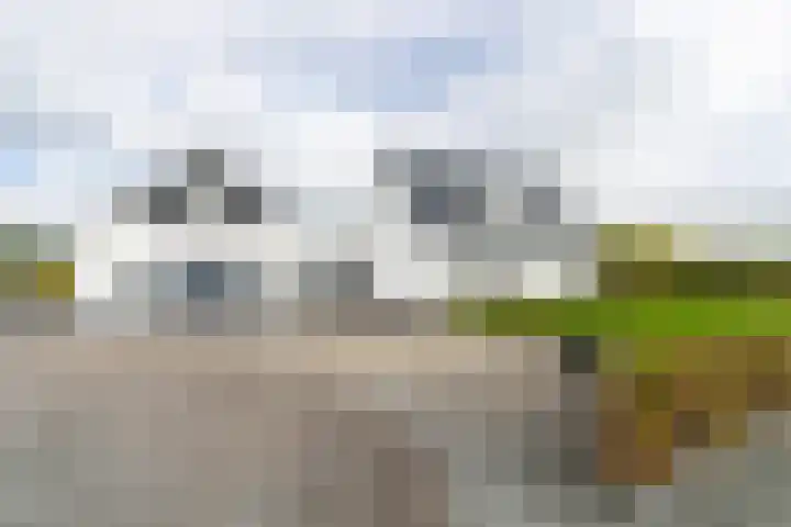 Liesveldsesteeg 13 Brakel thumbnail 67