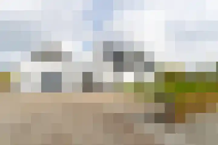 Liesveldsesteeg 13 Brakel thumbnail 68