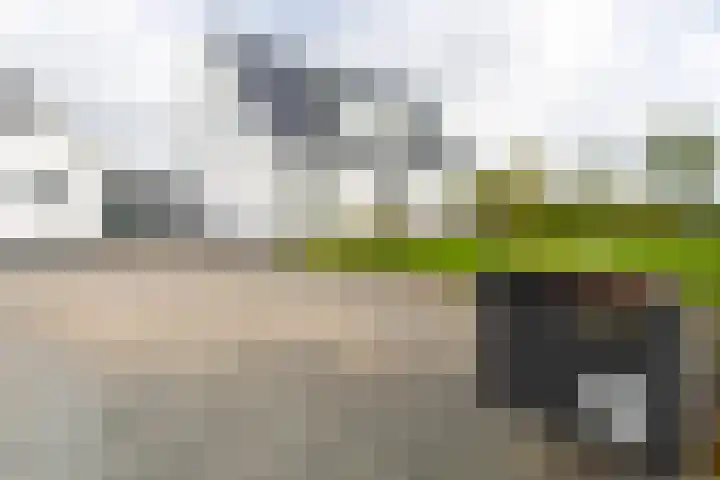 Liesveldsesteeg 13 Brakel thumbnail 69