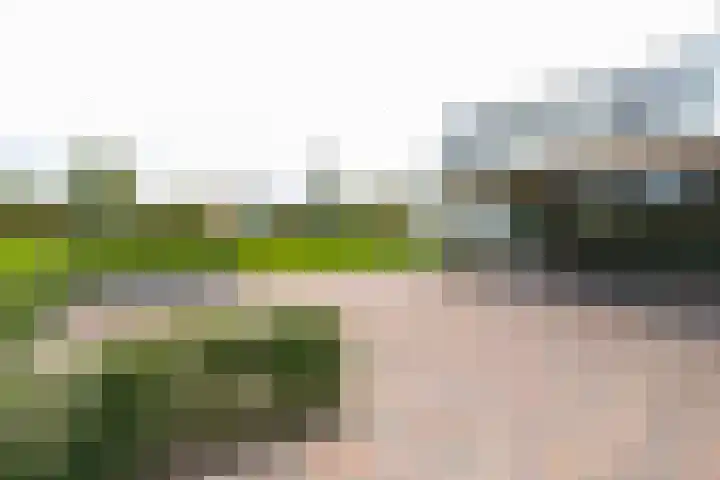 Liesveldsesteeg 13 Brakel thumbnail 71