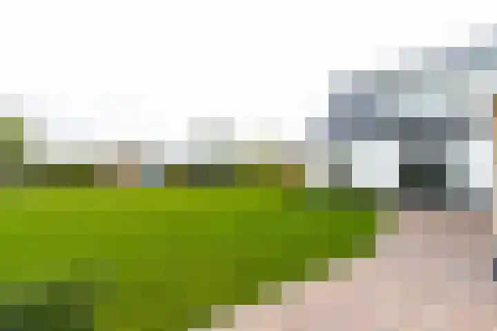 Liesveldsesteeg 13 Brakel thumbnail 72