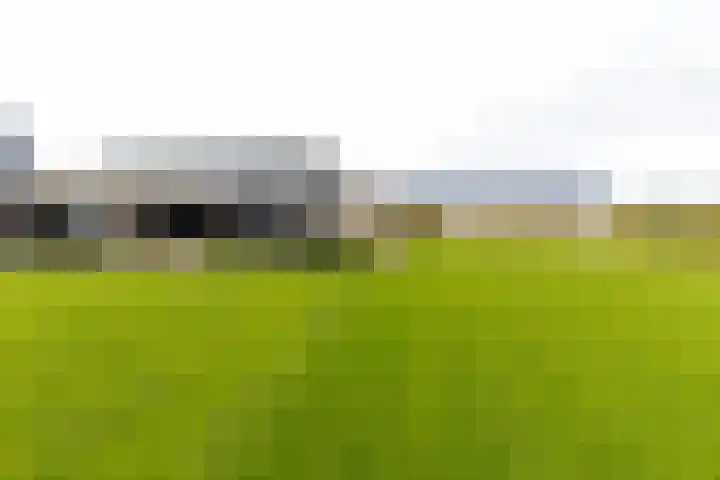 Liesveldsesteeg 13 Brakel thumbnail 74