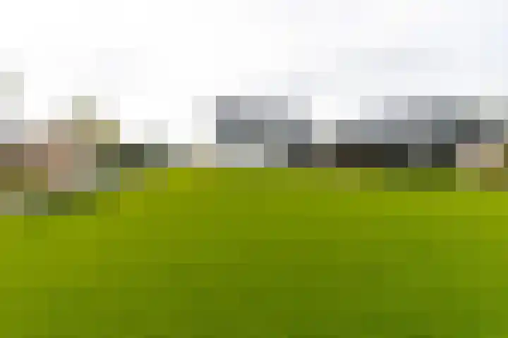 Liesveldsesteeg 13 Brakel thumbnail 75