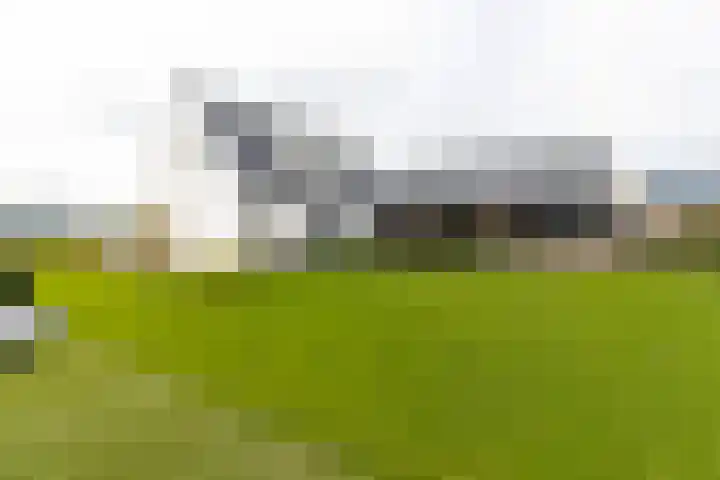 Liesveldsesteeg 13 Brakel thumbnail 76