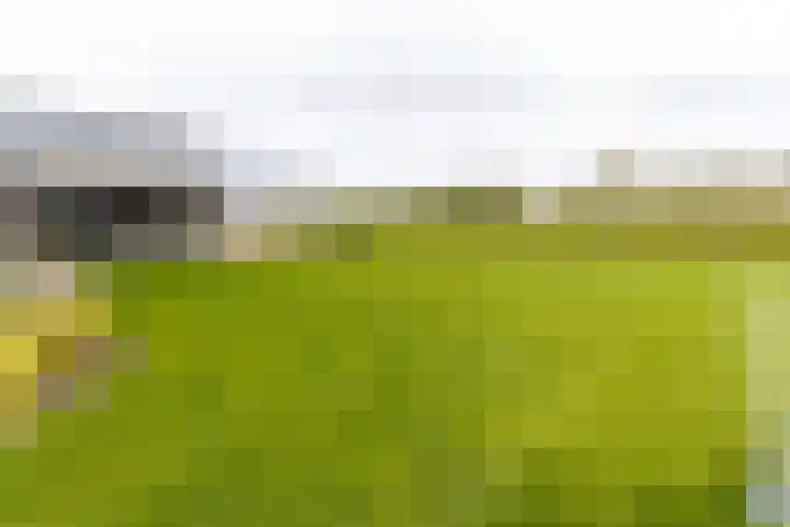 Liesveldsesteeg 13 Brakel thumbnail 77