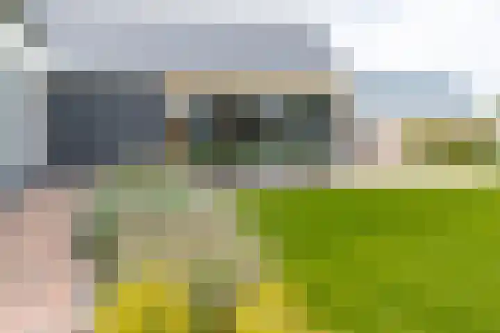 Liesveldsesteeg 13 Brakel thumbnail 78
