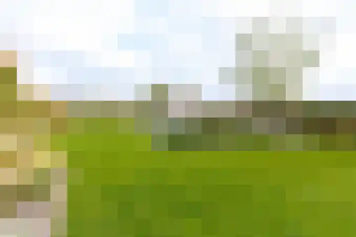 Liesveldsesteeg 13 Brakel thumbnail 79