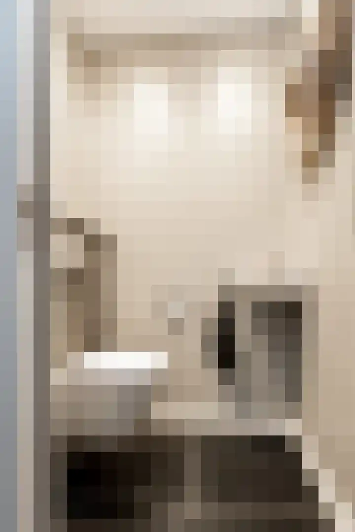 Liesveldsesteeg 13 Brakel thumbnail 8