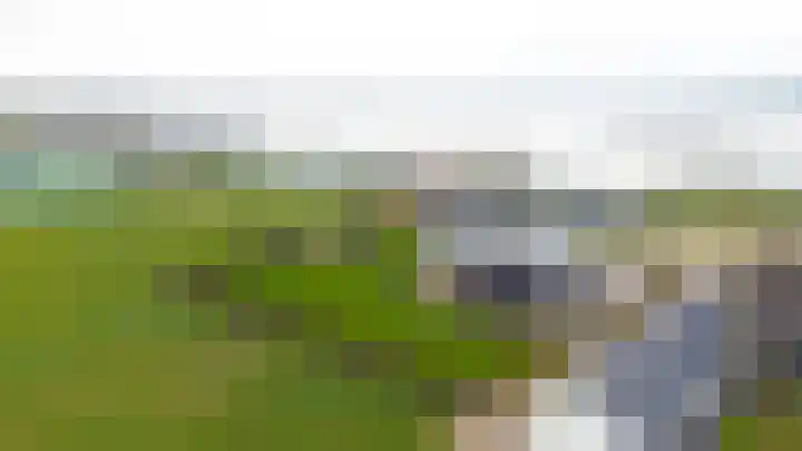 Liesveldsesteeg 13 Brakel thumbnail 83