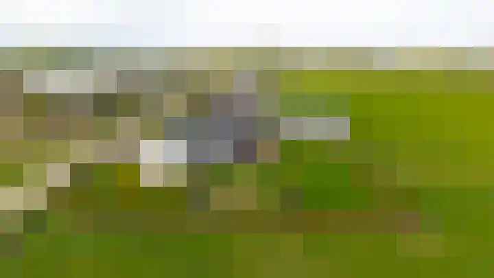 Liesveldsesteeg 13 Brakel thumbnail 85