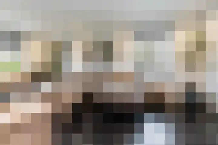Liesveldsesteeg 13 Brakel thumbnail 9