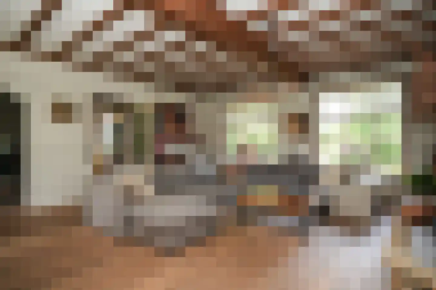 Liesveldsesteeg 23 Brakel thumbnail 10
