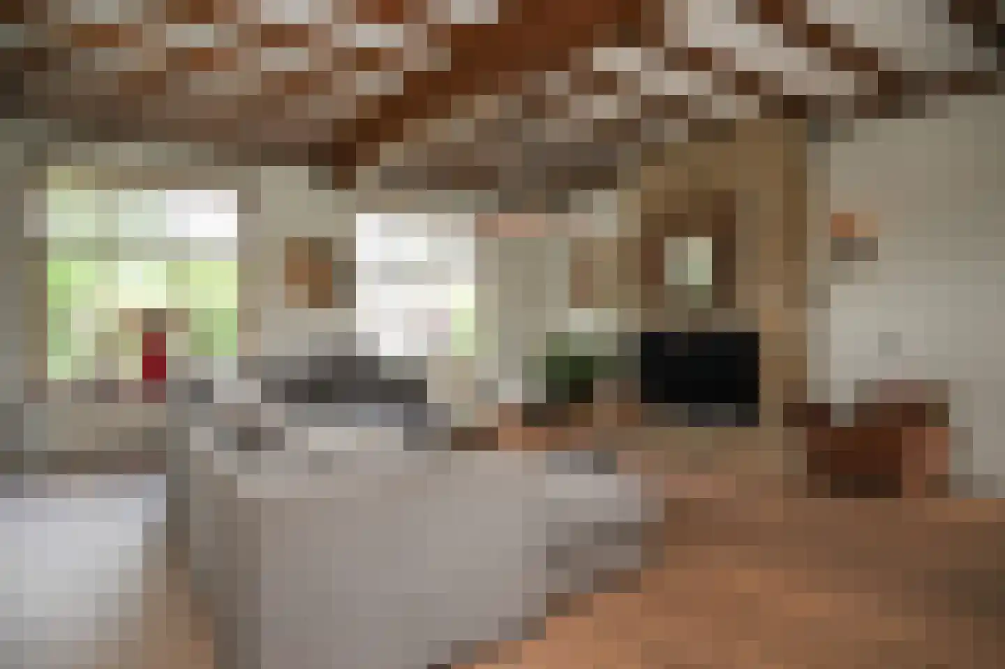Liesveldsesteeg 23 Brakel thumbnail 11